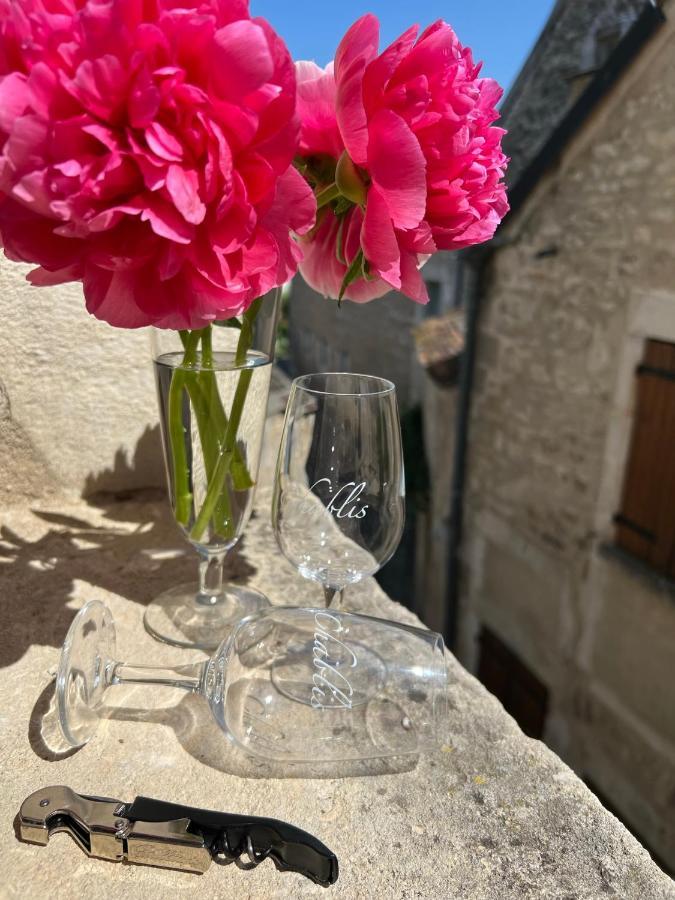 La Maison D'Alienor - Gites De Caractere A Chablis - 89 Kültér fotó