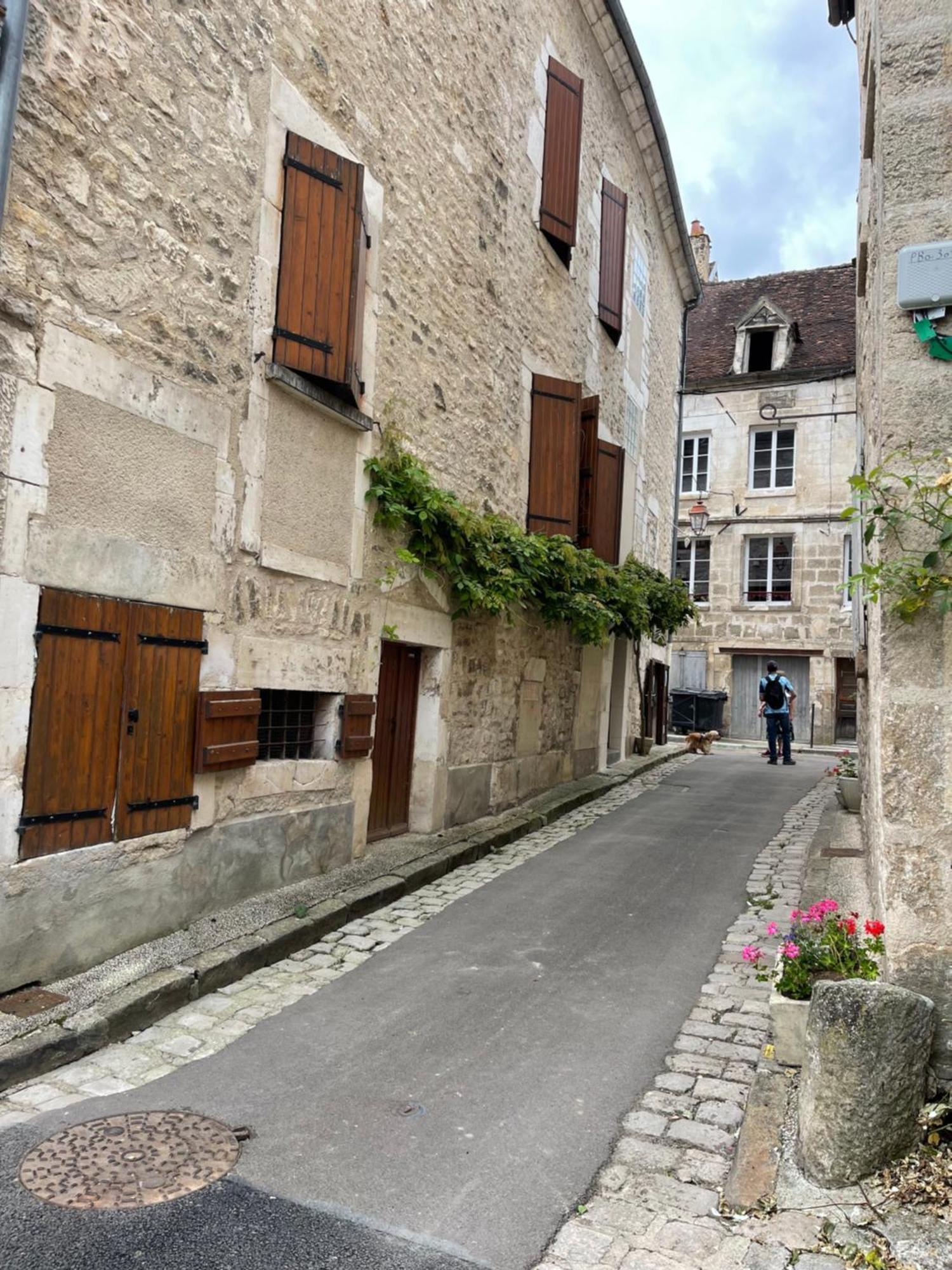 La Maison D'Alienor - Gites De Caractere A Chablis - 89 Kültér fotó
